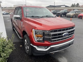 Certified 2023 Ford F150 Lariat image 1