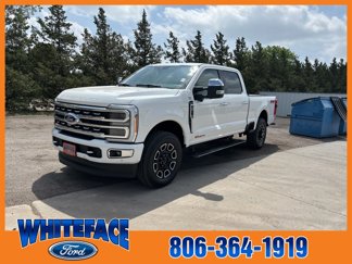 Used 2023 Ford F250 Platinum image 1