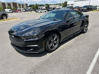 Used 2025 Ford Mustang Premium image 1