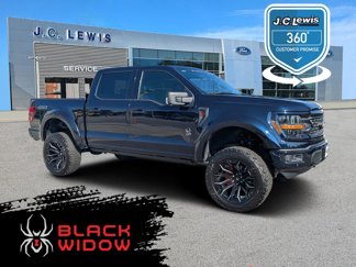 New 2025 Ford F150 XLT w/ Equipment Group 303A High image 1