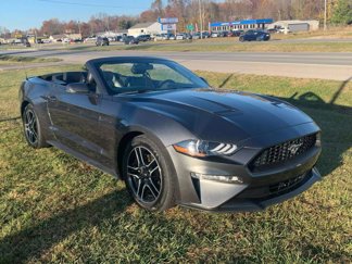 Used 2020 Ford Mustang Premium image 1