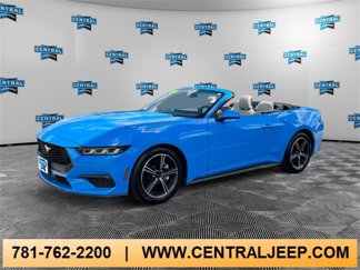 Used 2024 Ford Mustang Premium video 1