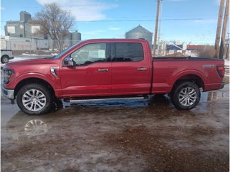 New 2025 Ford F150 XLT w/ Equipment Group 302A MID image 1