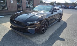 Used 2020 Ford Mustang Premium image 1