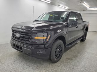 New 2025 Ford F150 XLT w/ Equipment Group 302A MID image 1