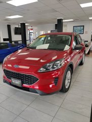Used 2022 Ford Escape SE w/ Cold Weather Package image 1