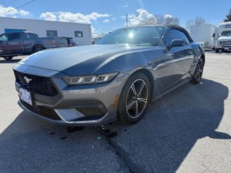 Used 2024 Ford Mustang Premium image 1
