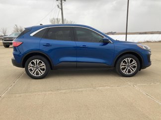 Used 2022 Ford Escape SEL image 1