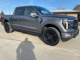 New 2025 Ford F150 Platinum image 1