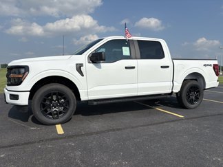 New 2025 Ford F150 STX w/ STX Black Appearance Package image 1