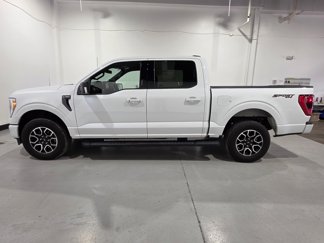 Used 2023 Ford F150 XLT w/ Equipment Group 302A High image 1