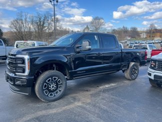 New 2025 Ford F250 Platinum image 1