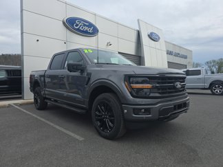 New 2025 Ford F150 XLT image 1