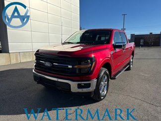 New 2025 Ford F150 XLT w/ Equipment Group 302A MID image 1