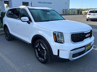 New 2025 Kia Telluride EX image 1