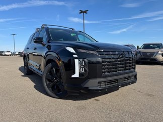 New 2025 Hyundai Palisade XRT image 1