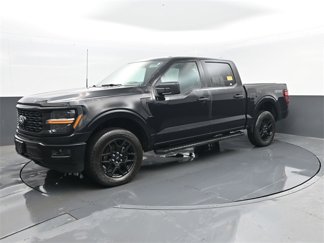 Used 2024 Ford F150 STX w/ STX Black Appearance Package image 1