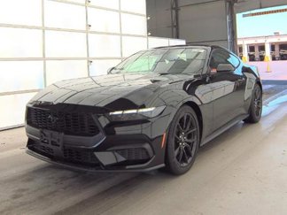 Used 2025 Ford Mustang Coupe w/ Mustang Nite Pony Package image 1