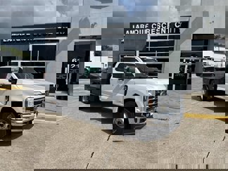 New 2025 Ford F350 XL w/ XL Chrome Package image 1