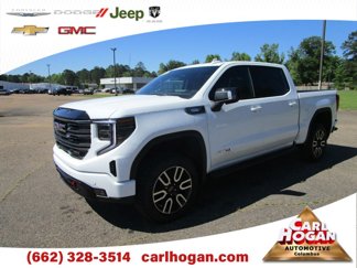 New 2025 GMC Sierra 1500 AT4 w/ AT4 Premium Package image 1