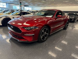 Used 2019 Ford Mustang Coupe image 1