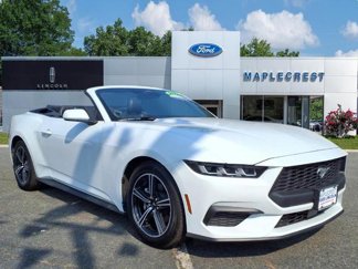 Certified 2024 Ford Mustang Premium image 1