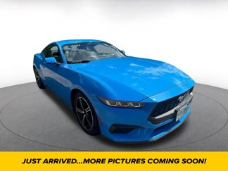 Used 2024 Ford Mustang Premium image 1