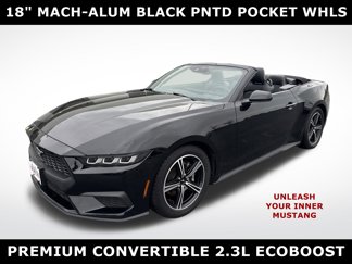 Used 2024 Ford Mustang Premium image 1
