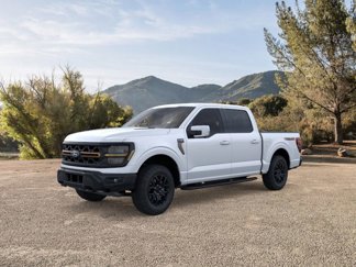 New 2025 Ford F150 Tremor image 1