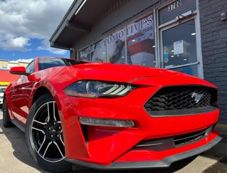Used 2021 Ford Mustang Coupe w/ Equipment Group 101A image 1