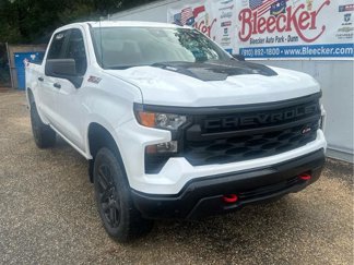 New 2025 Chevrolet Silverado 1500 Custom Trail Boss image 1