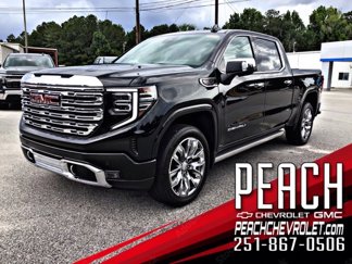 New 2025 GMC Sierra 1500 Denali w/ Denali Reserve Package image 1