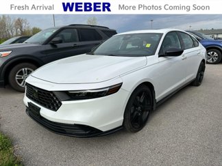Used 2023 Honda Accord Sport image 1