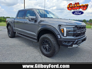 New 2025 Ford F150 Raptor image 1