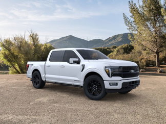 New 2025 Ford F150 Platinum image 1