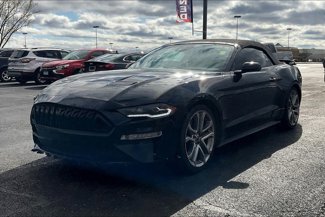 Used 2020 Ford Mustang GT Premium w/ Equipment Group 401A image 1