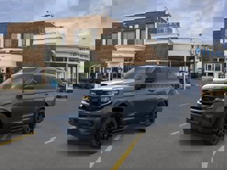 New 2025 Ford Expedition Platinum w/ Stealth Appearance Package image 1