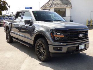 New 2025 Ford F150 XLT w/ Equipment Group 302A MID image 1