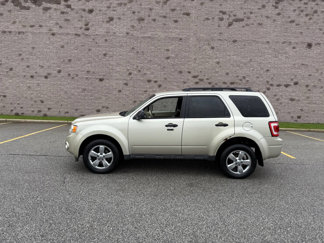 Used 2011 Ford Escape XLT image 1