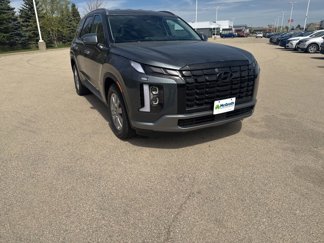 New 2025 Hyundai Palisade Calligraphy image 1
