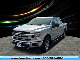 Used 2019 Ford F150 XLT w/ Equipment Group 302A Luxury image 1