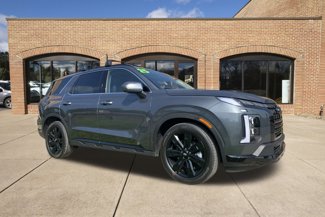 New 2025 Hyundai Palisade XRT image 1