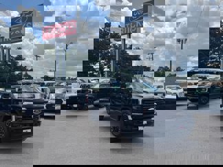 New 2025 Ford F250 Platinum image 1