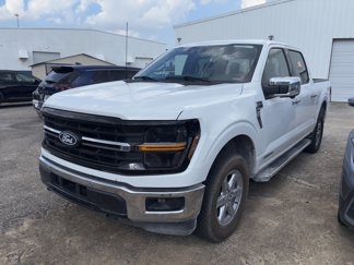 Used 2024 Ford F150 XLT w/ Equipment Group 302A MID image 1