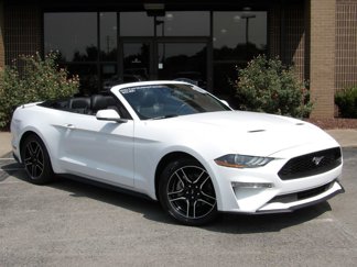 Used 2023 Ford Mustang Premium w/ Equipment Group 201A image 1