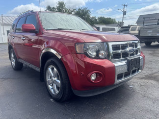 Used 2011 Ford Escape Limited w/ 302A Rapid Spec Order Code image 1