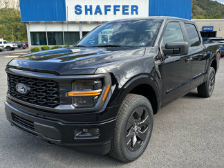 New 2025 Ford F150 STX image 1
