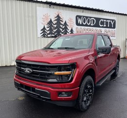 New 2025 Ford F150 XLT image 1