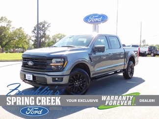 New 2025 Ford F150 XLT image 1