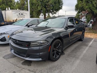 Used 2018 Dodge Charger SXT w/ Blacktop Package image 1